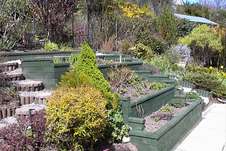 Terracing4