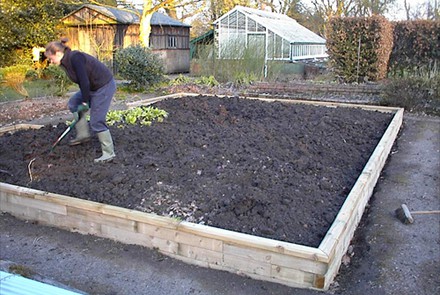 Raised bed project