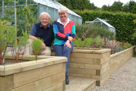 Beechgrove garden raised beds2