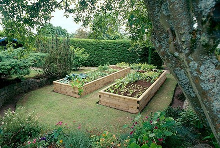 Raised Beds