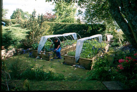 raised beds with poly tunnel3